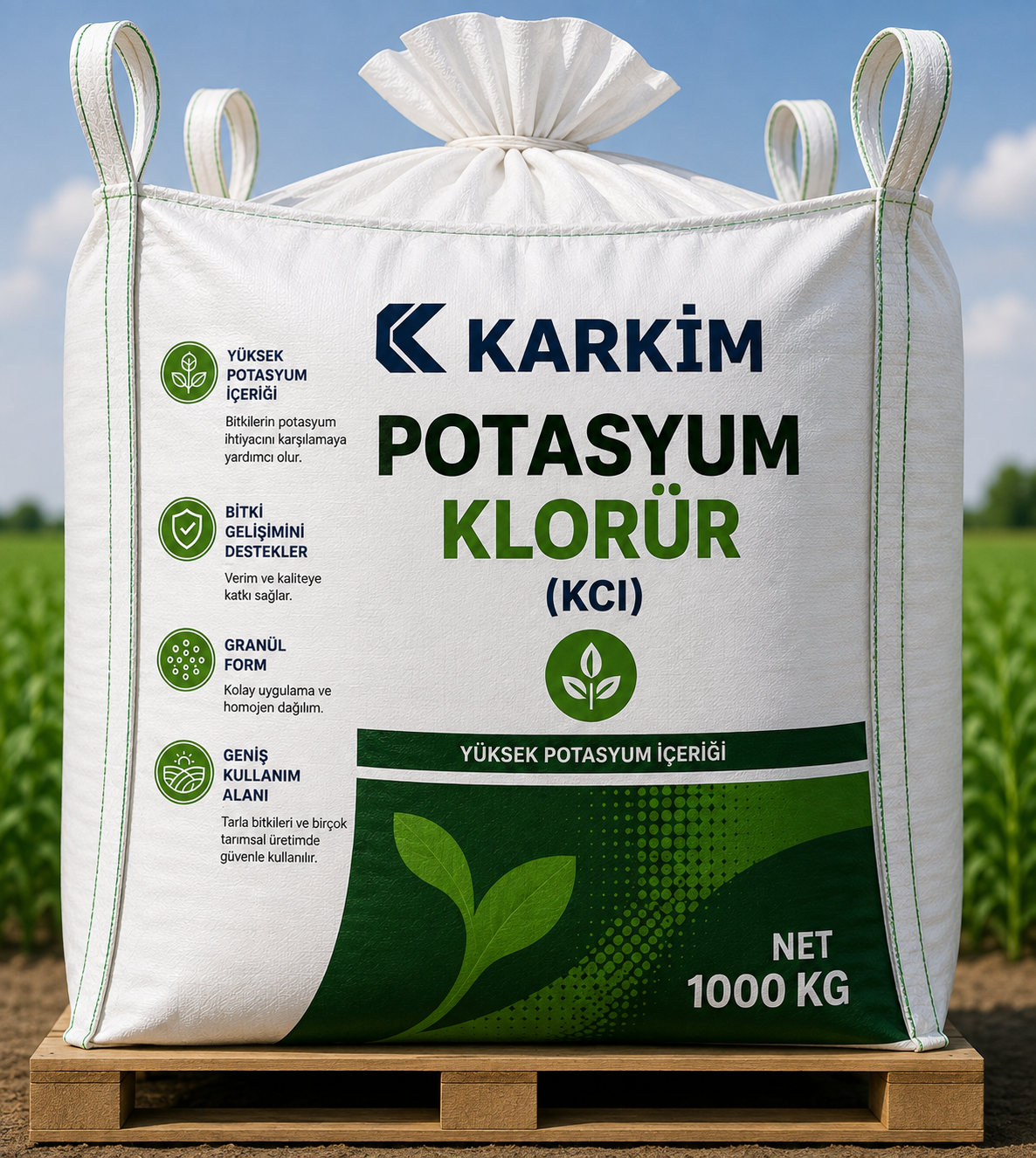 Potasyum Klorür